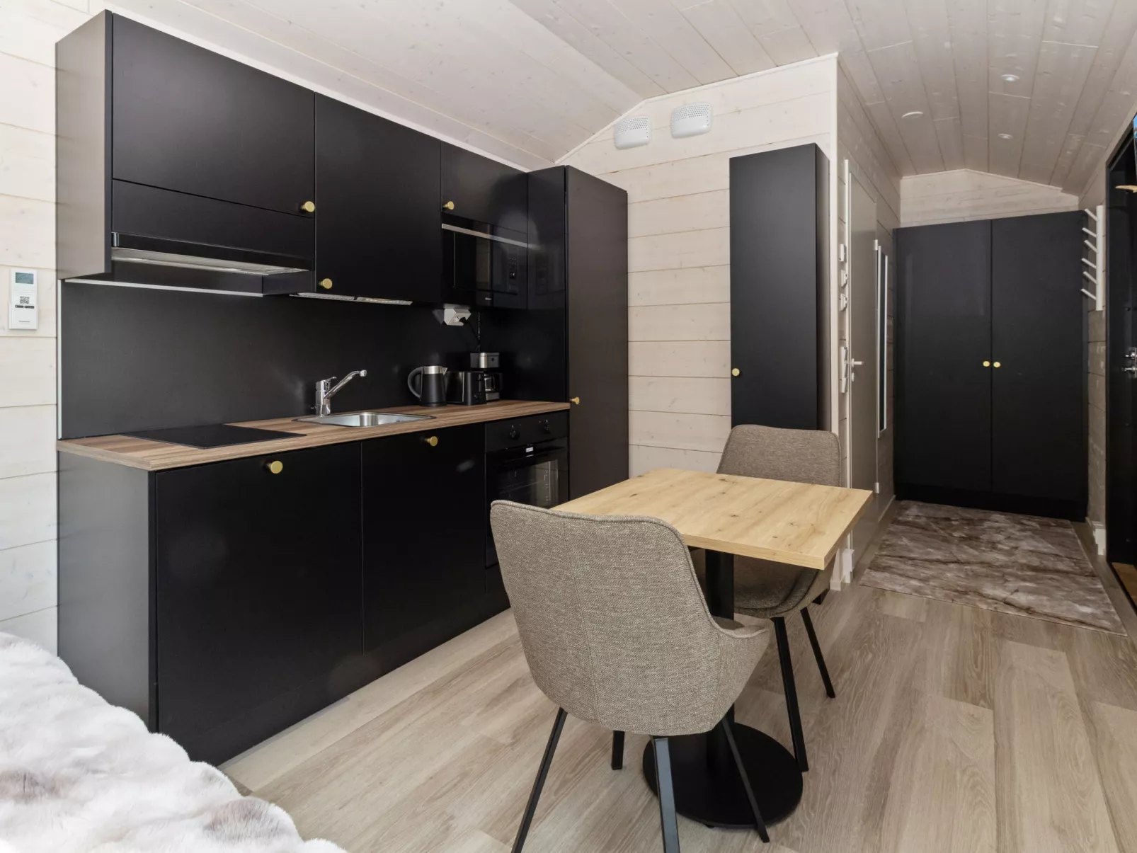 Visit pyhä cabins f - Binnen