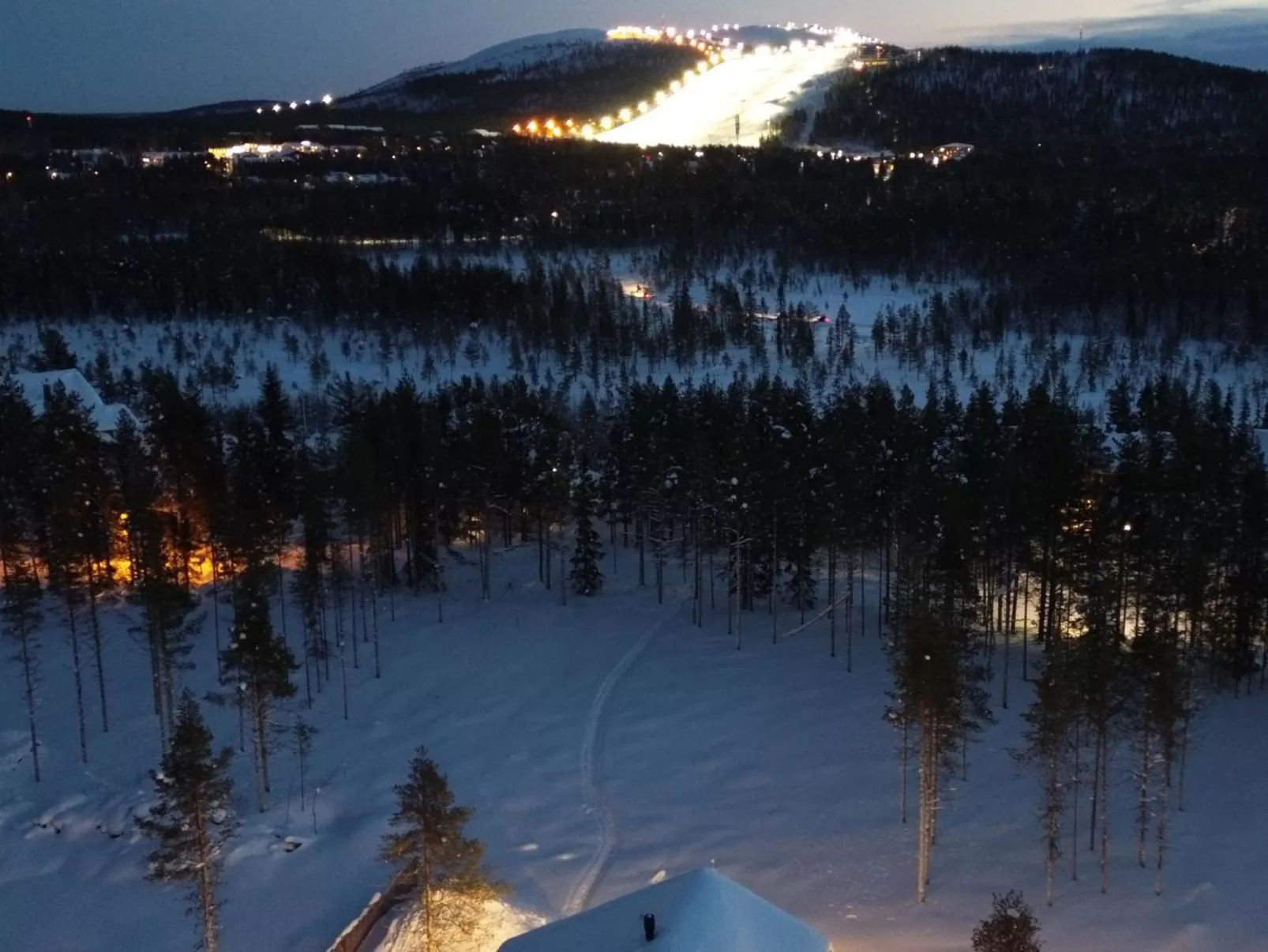 Röllimetsä d 4 - Binnen