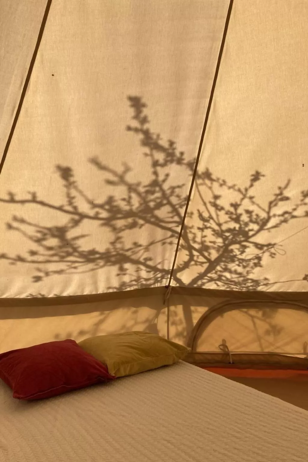 Zeltferien Into the Wäid "Panoramazelt" - Image-tags.info