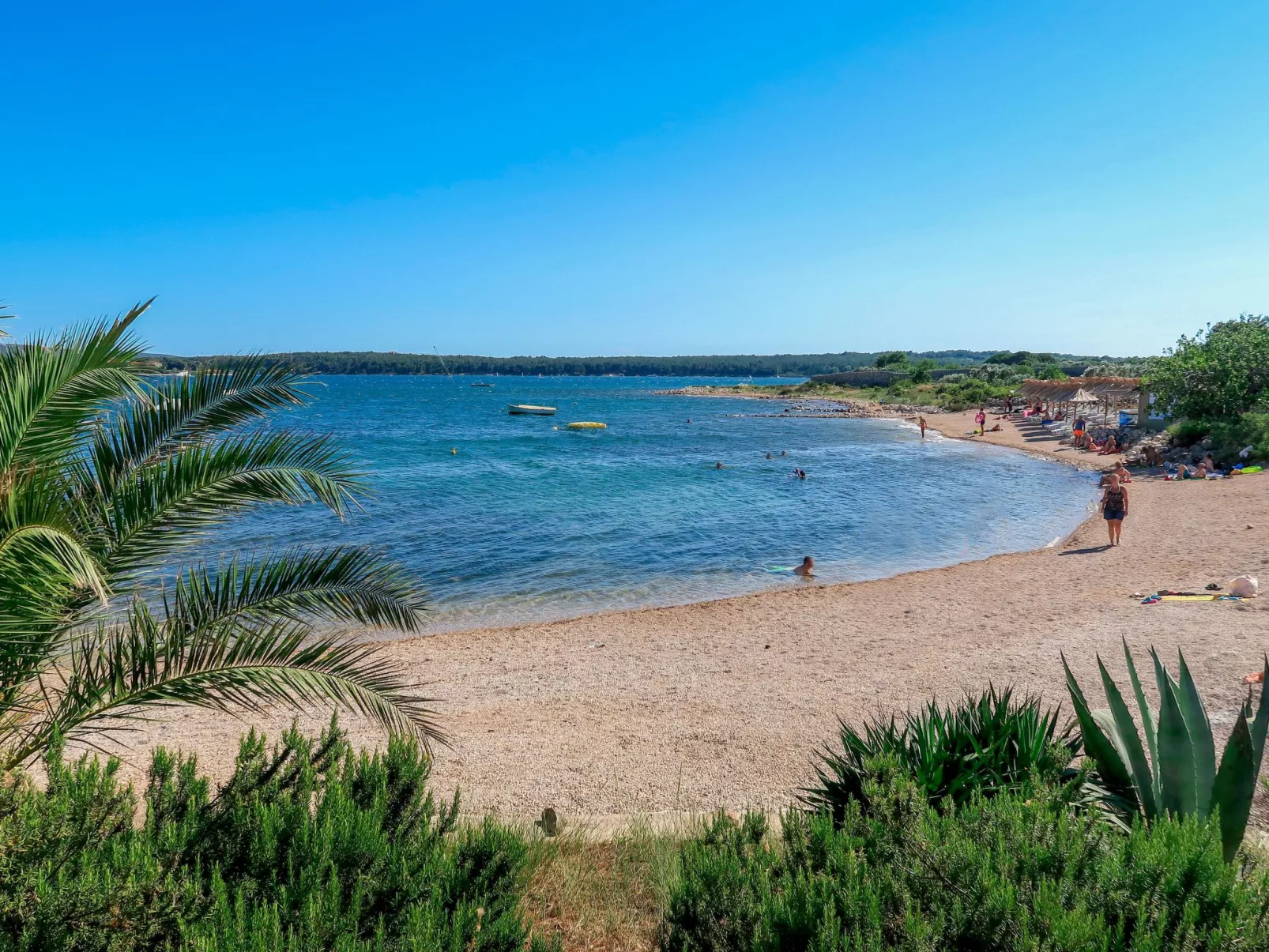 House Sepic - Omgeving