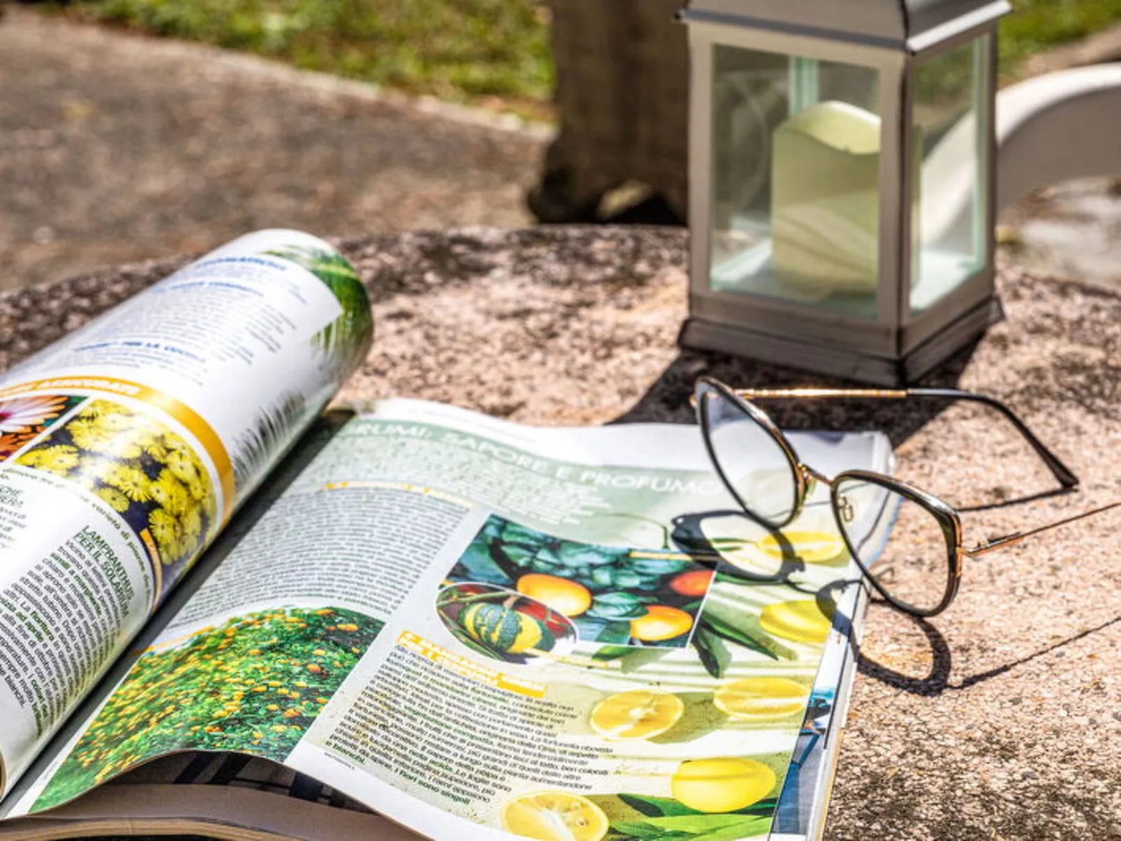 La Pineta Holiday Homes - Buiten