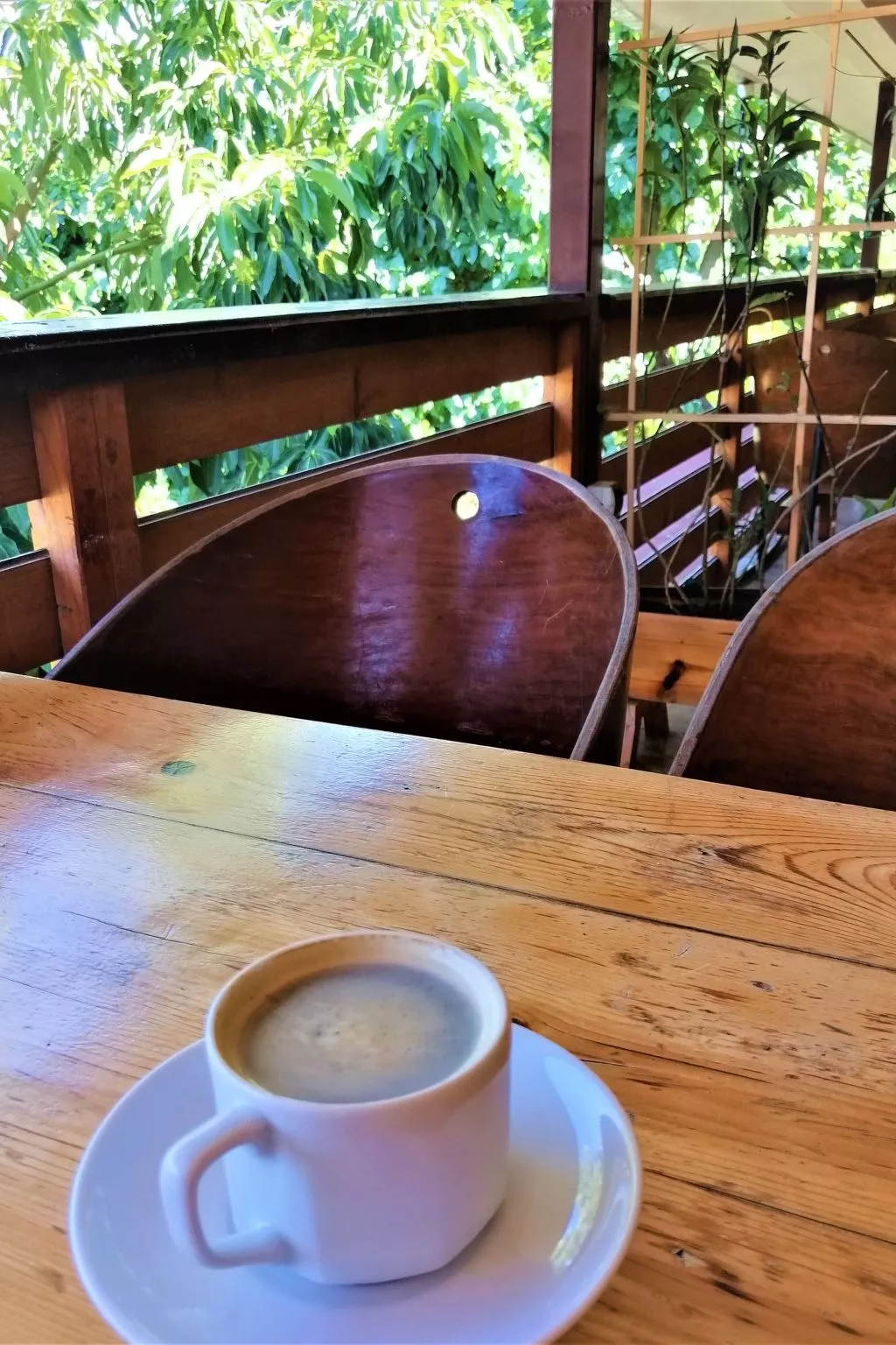 Luxuriöse Duplex-Wohnungen in Cirali - Binnen