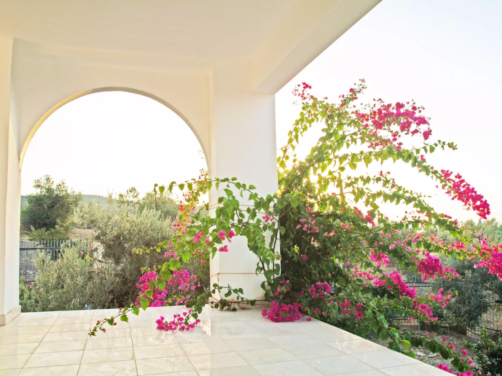 In Ermioni mit Garten, gemeinschaftlichem Pool und Terrasse - Buiten