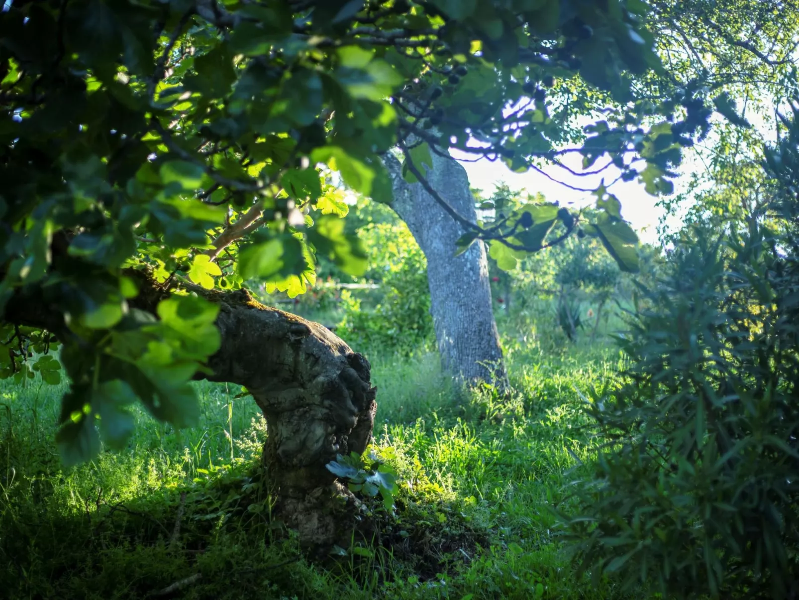 Ländliches Haus Medulas 3 Belegung für 4 6 PAX - Buiten