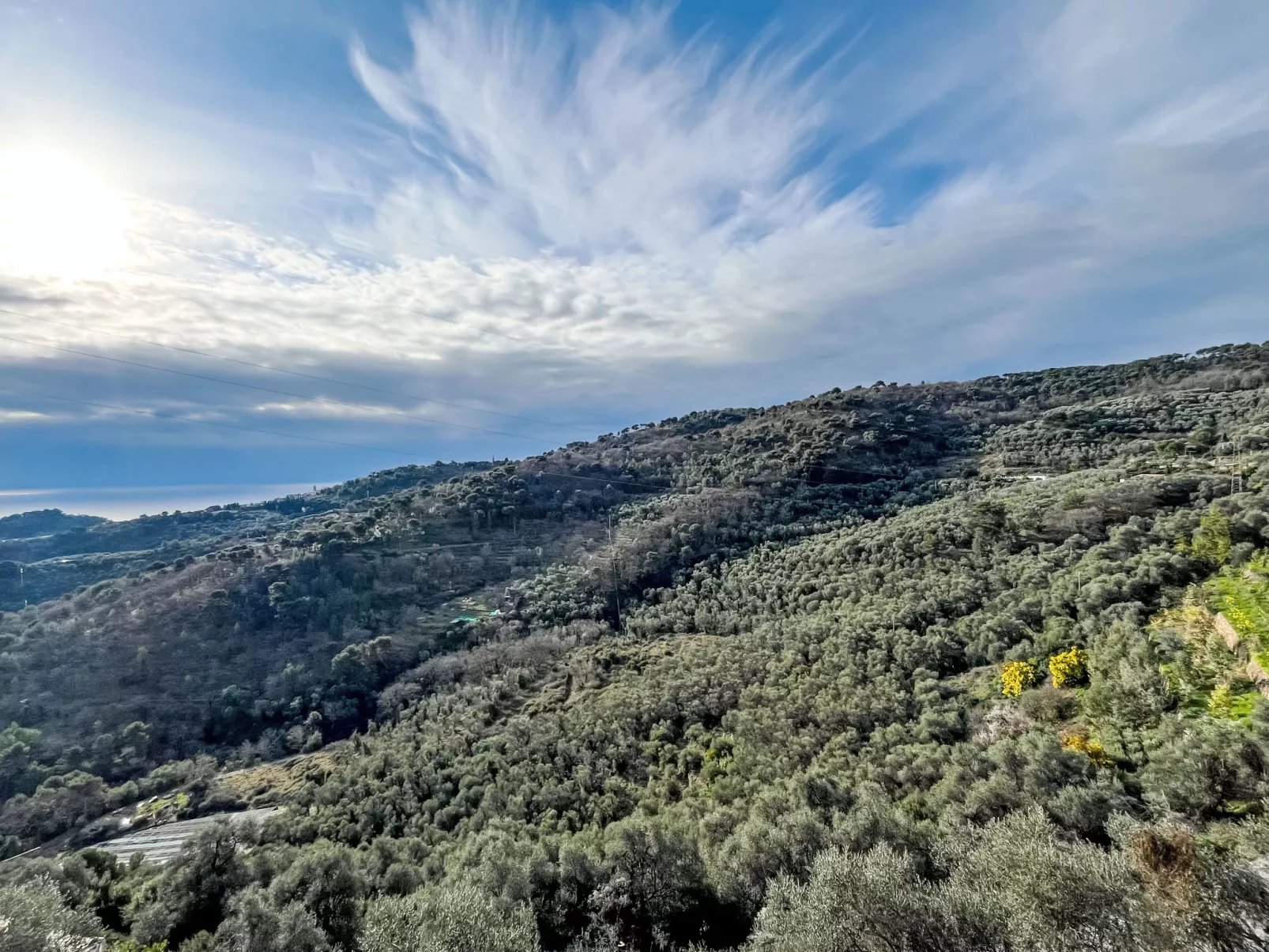 Cà de Ninin de Bernà - Buiten