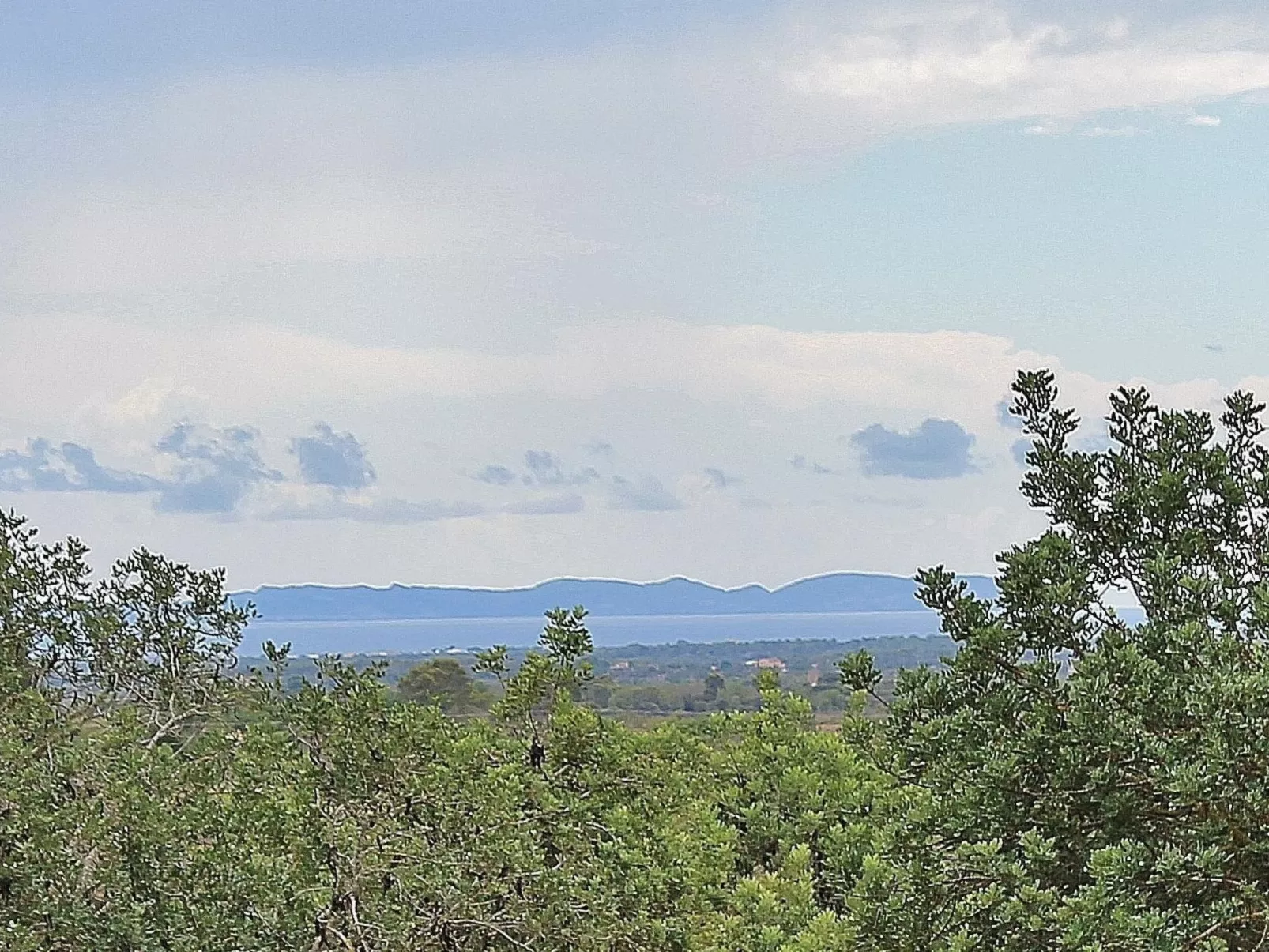 Finca "Son Gabriela" mit eigener Terrasse - Buiten