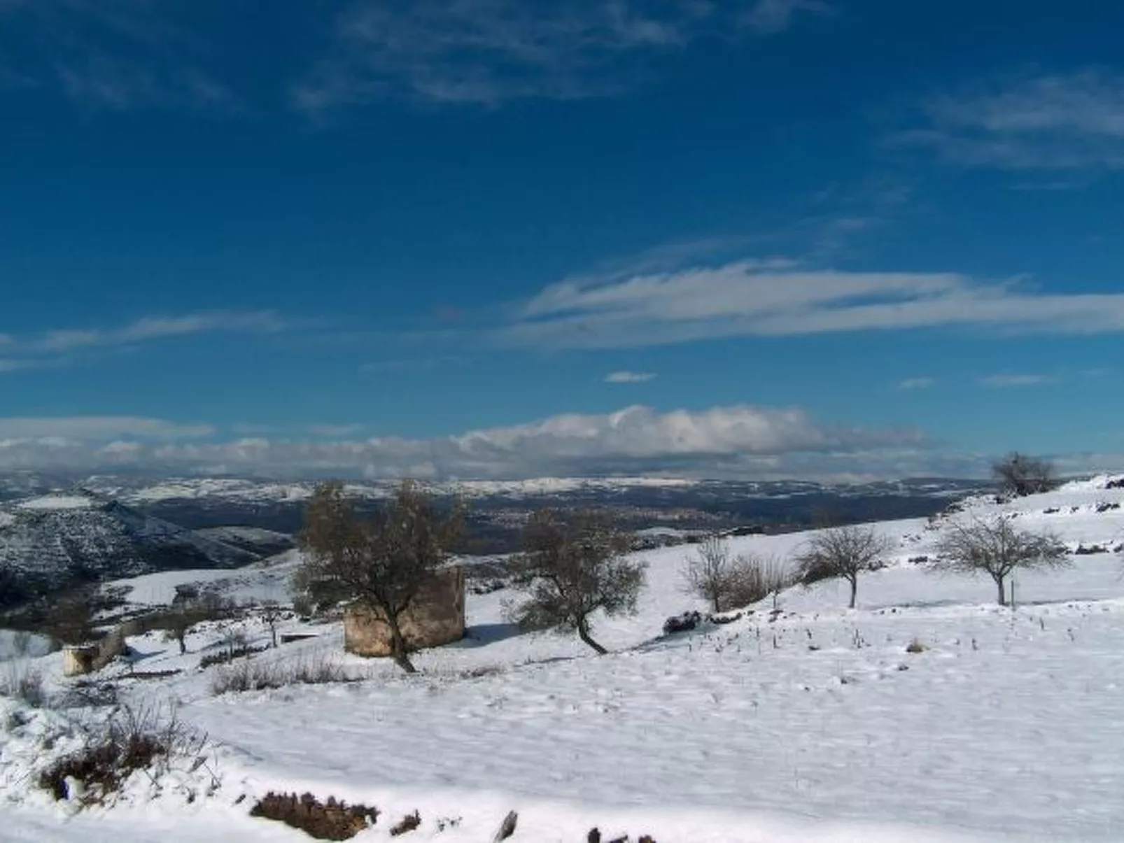 CASA LUIS GONZAGA - TORRE DA UNI. by VACATIONY - Buiten
