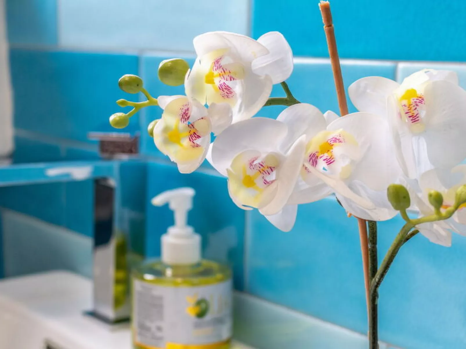 Conero Bluloft - Binnen