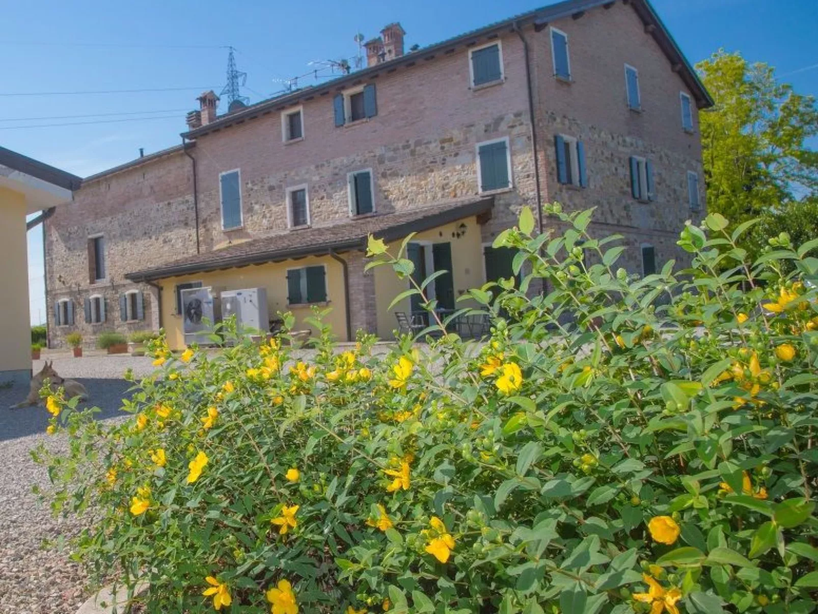 Wohnung "Veronica" auf einem Bauernhof - Buiten