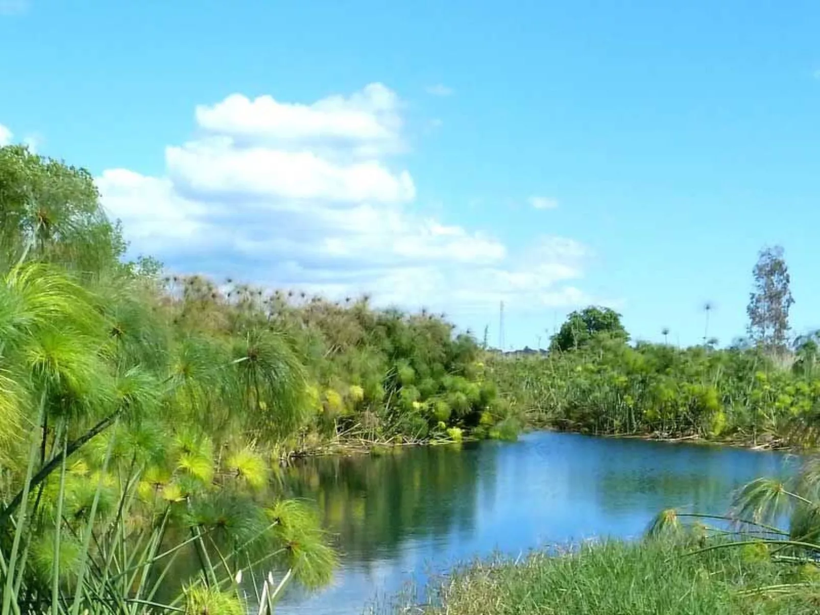 Villa dei Papiri - Standardzimmer mit Fenster zum Garten - Image-tags.info