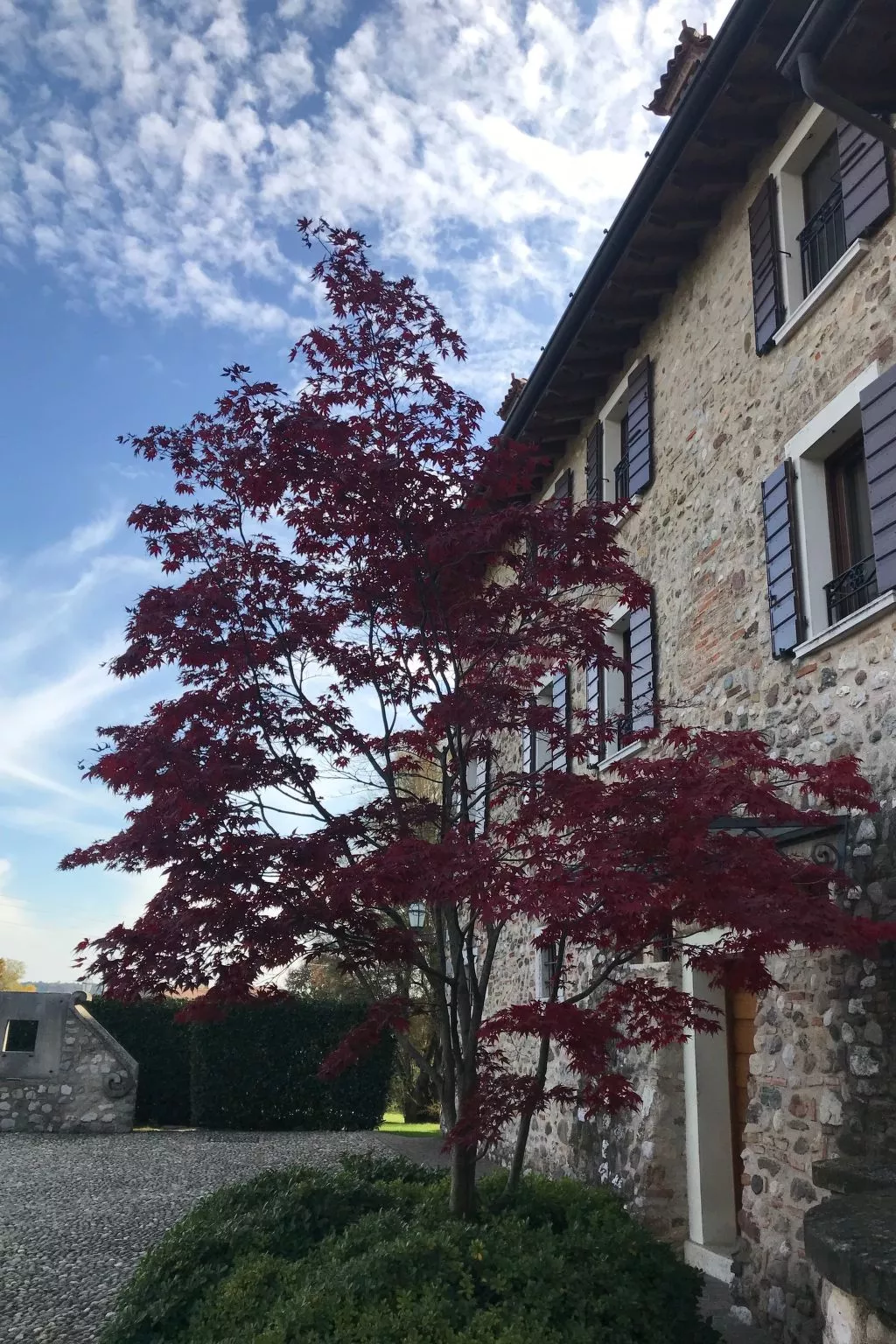 Ocra Familiensuite - Buiten