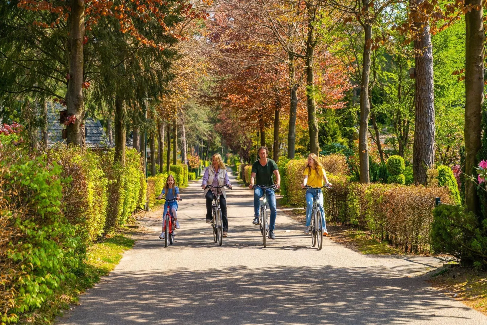 Resort Beekbergen 7-Parkfaciliteiten