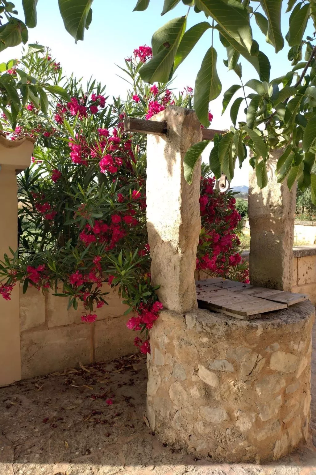 In Manacor mit Privatem Pool - Image-tags.info