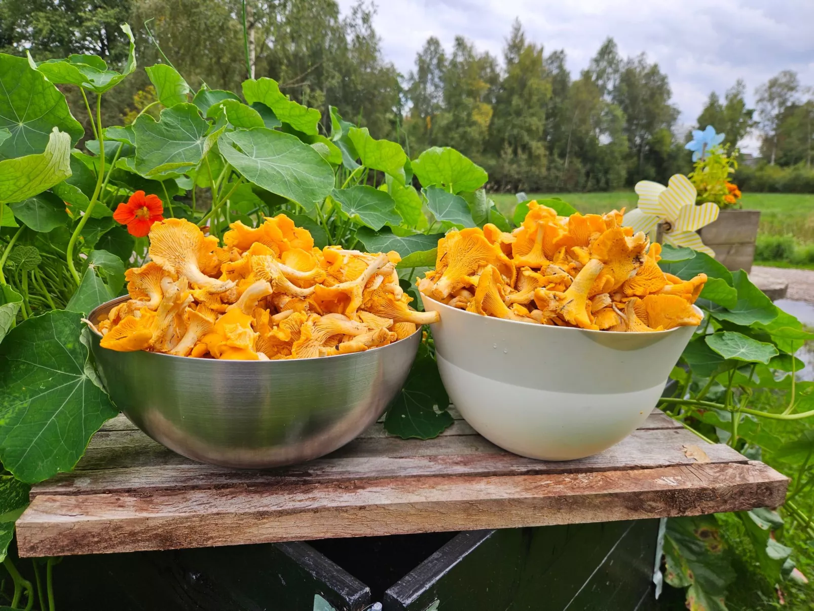 Gemütliches Cottage mit Whirlpool - Image-tags.info