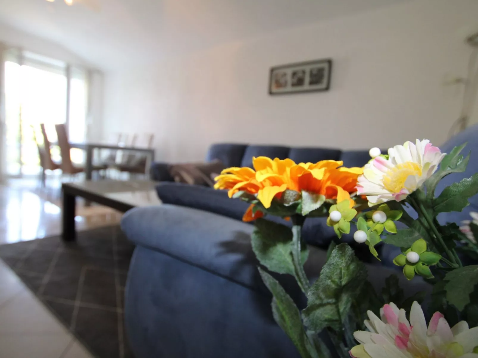 Apartment Julia Plavi / HR-11080-02 - Image-tags.info