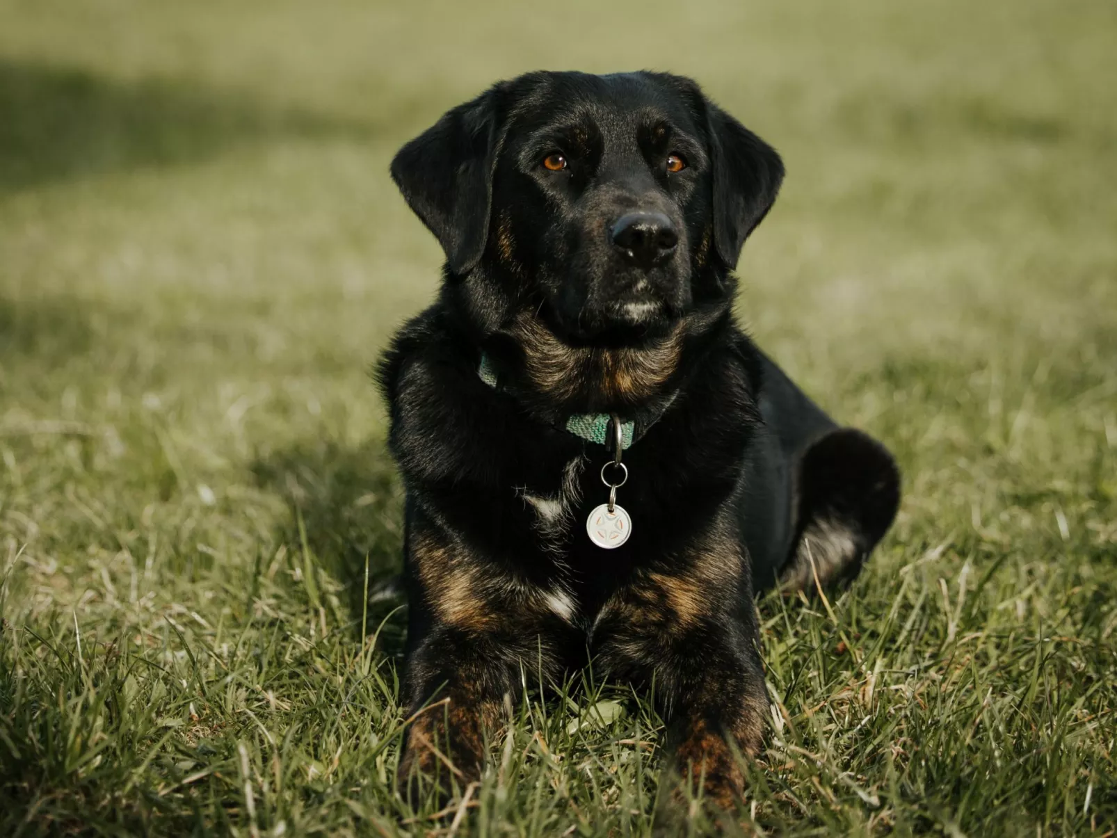 Hof Obertalgut - Buiten