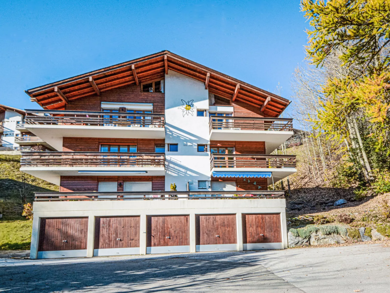 A l'Orée du Bisse - Anzère - Omgeving