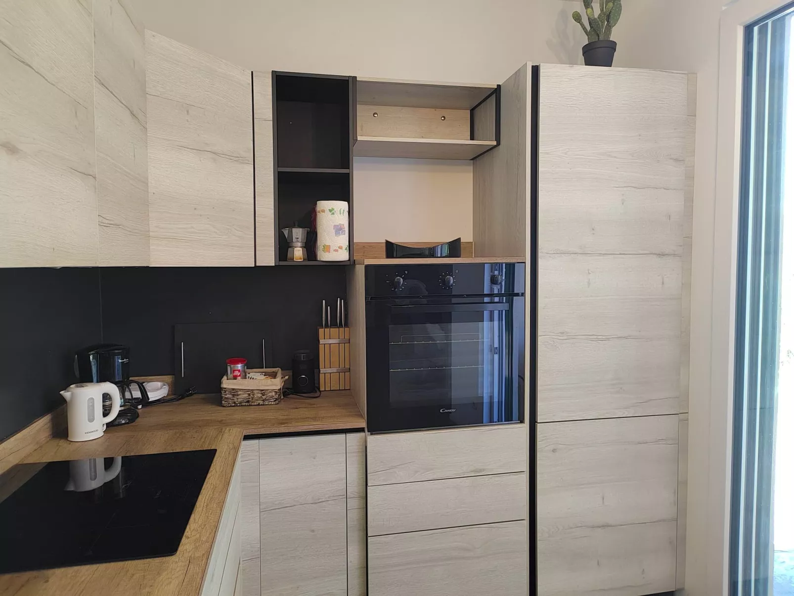 In einem spektakulären Olivenhain in einer ruhig - Image-tags.info