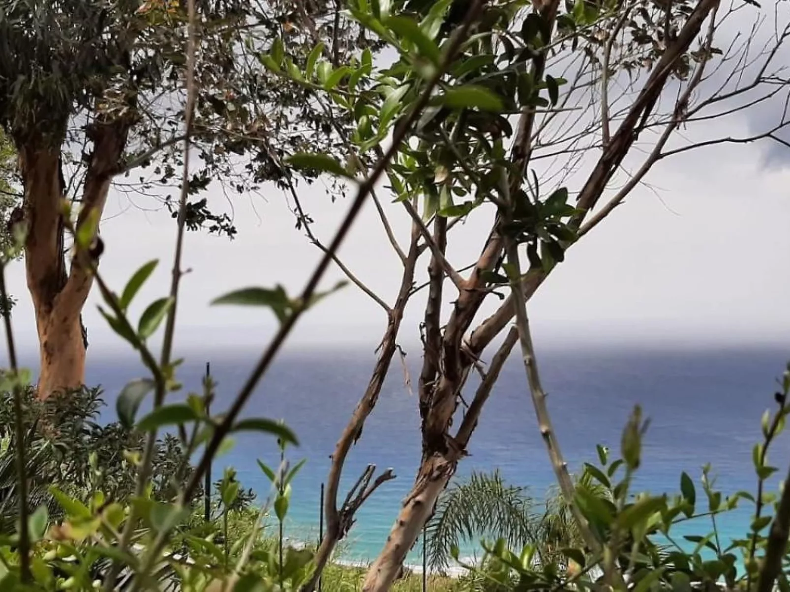 Villa Panorama Wohnung in privater Villa - Buiten