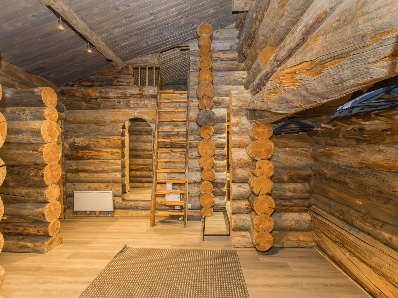 Lumikenttien kutsu - Binnen