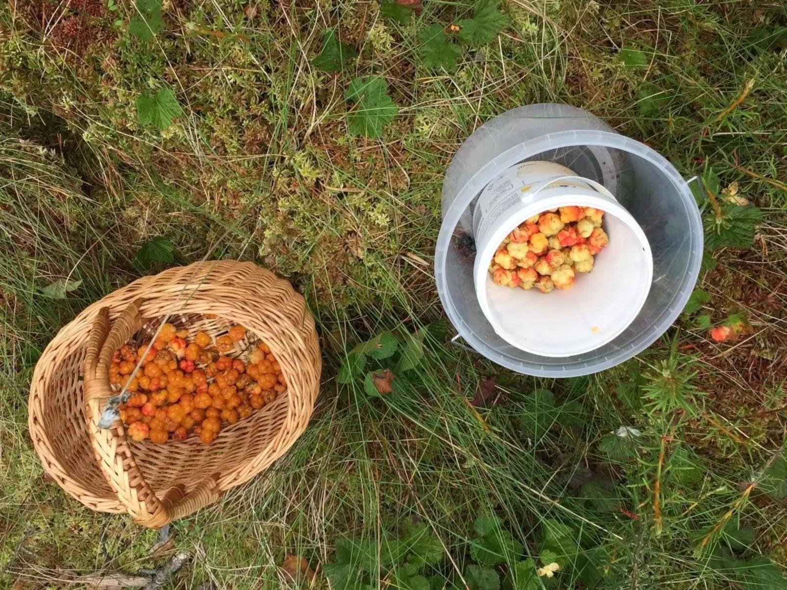 Retreat House - Image-tags.info