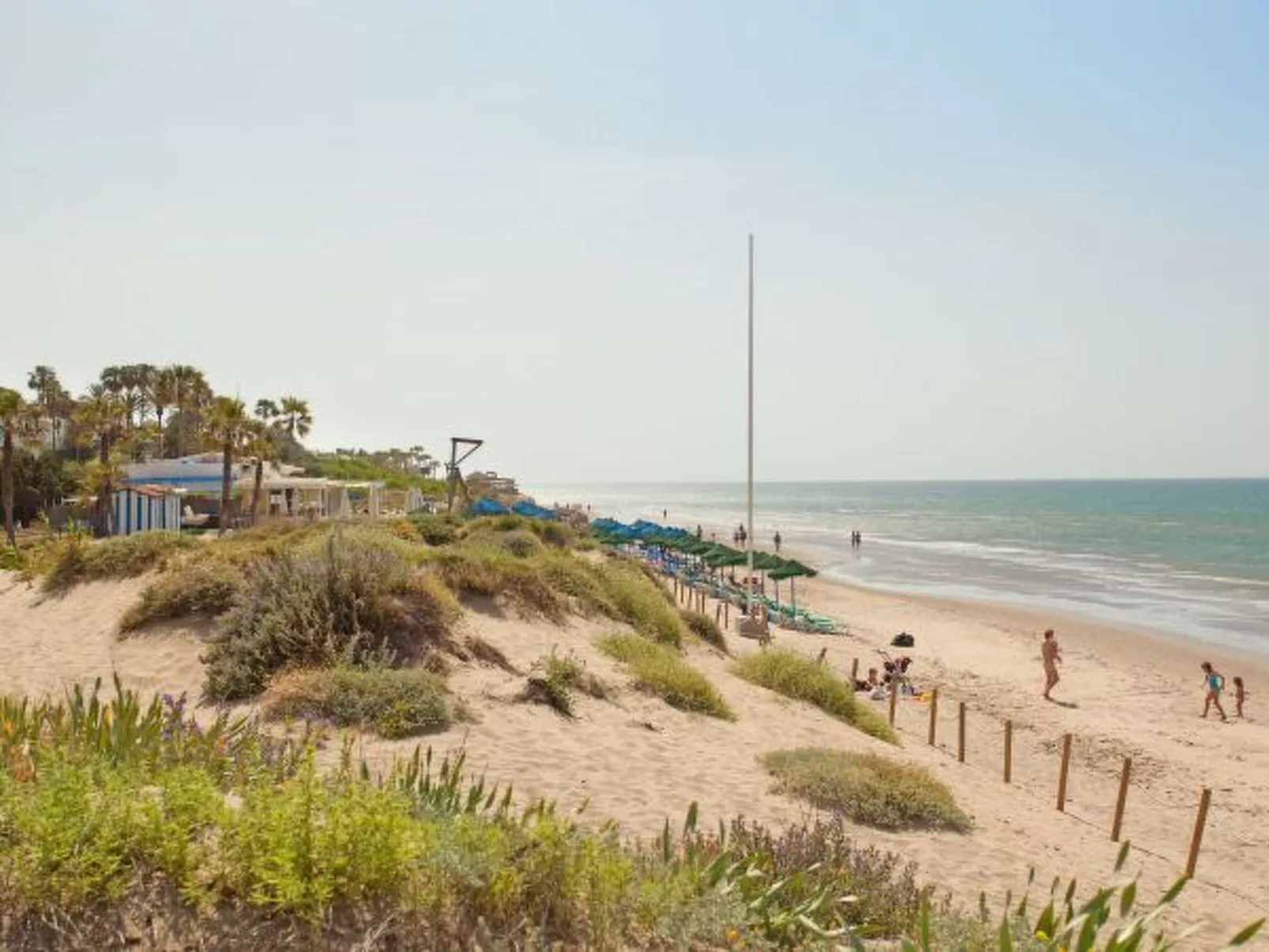 Romana Playa 555 - Image-tags.info