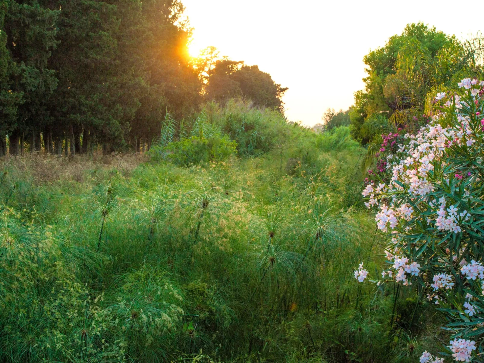 Villa dei Papiri - Superior Zimmer mit möbliertem Garten - Image-tags.info
