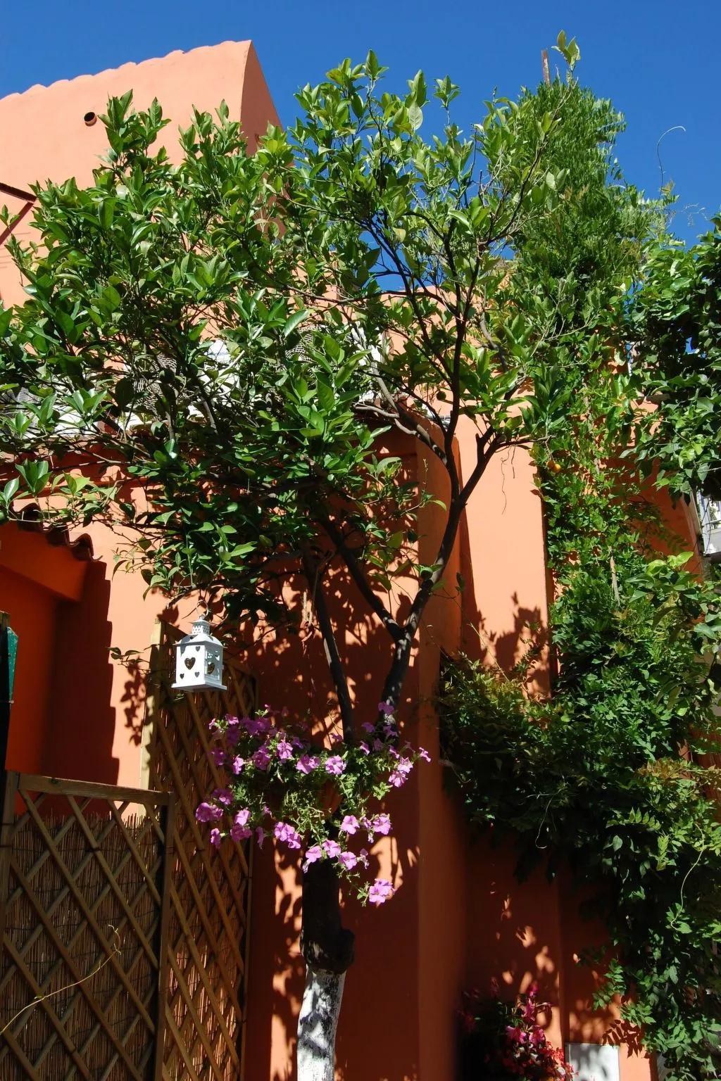 Gemütliche Zimmer im Herzen von Olbia - Buiten