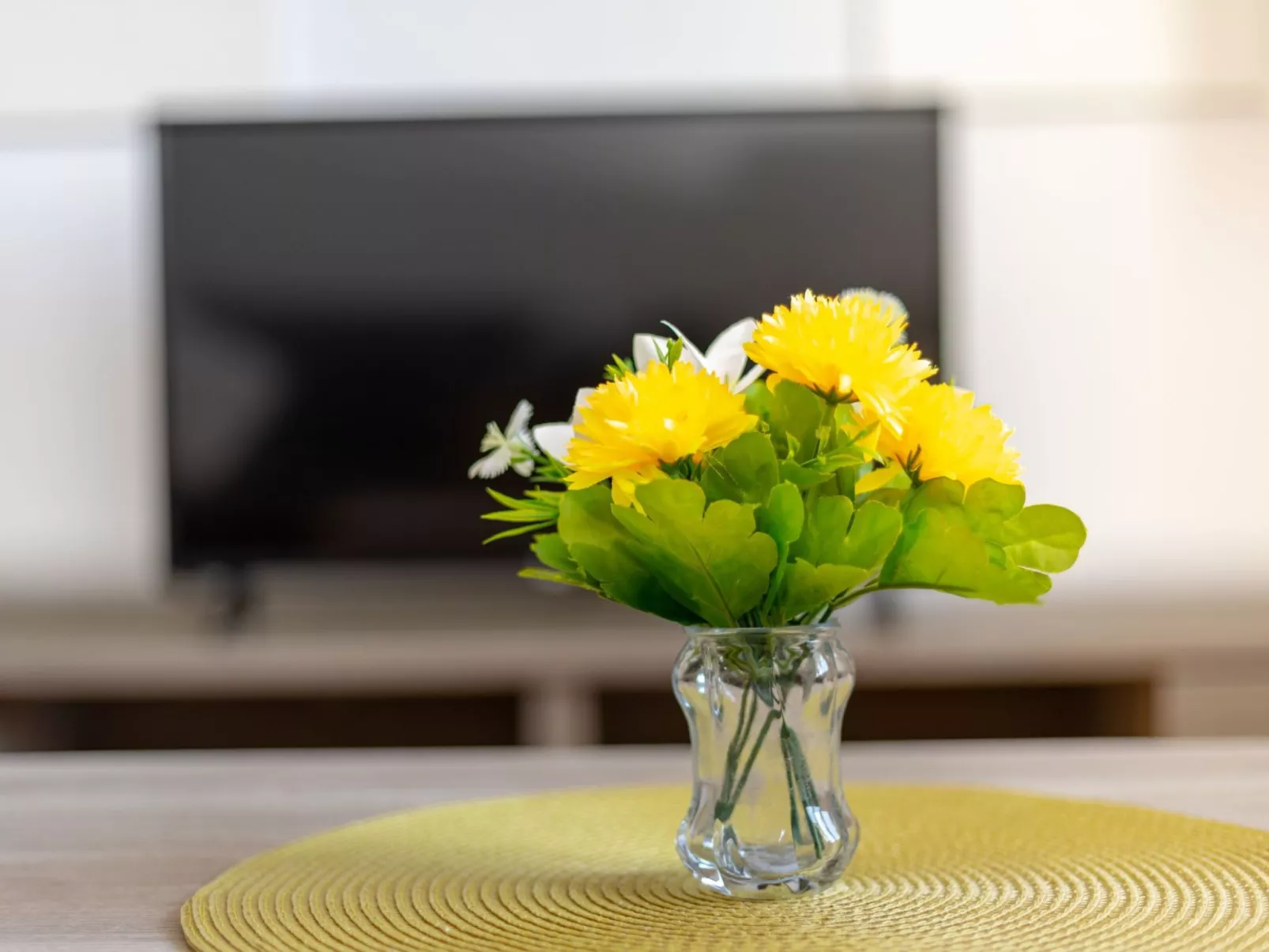 "Maya Z" mit Blick auf das Wasser - Binnen