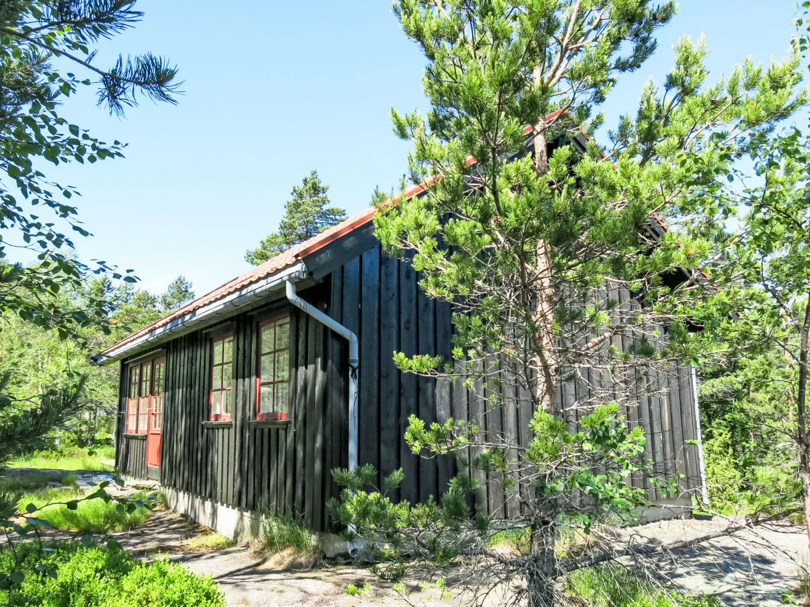 Førevanns Hytta - Buiten