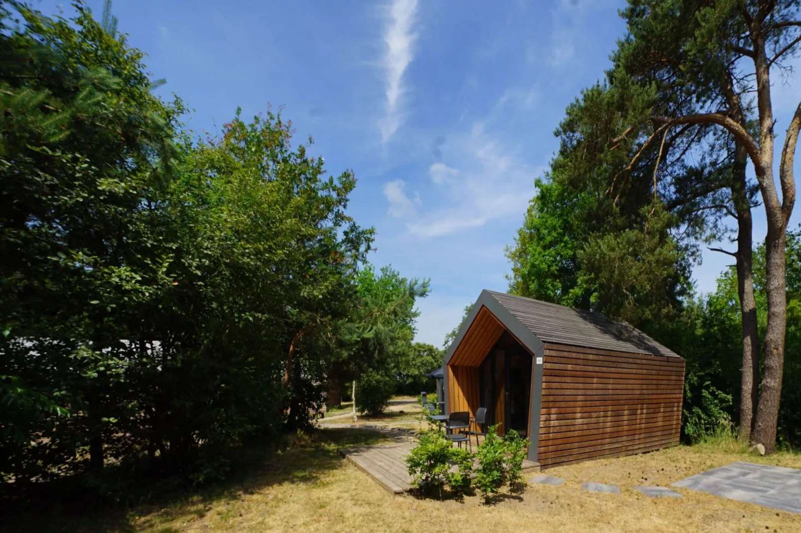 Resort Ruinen 8-Buitenkant zomer