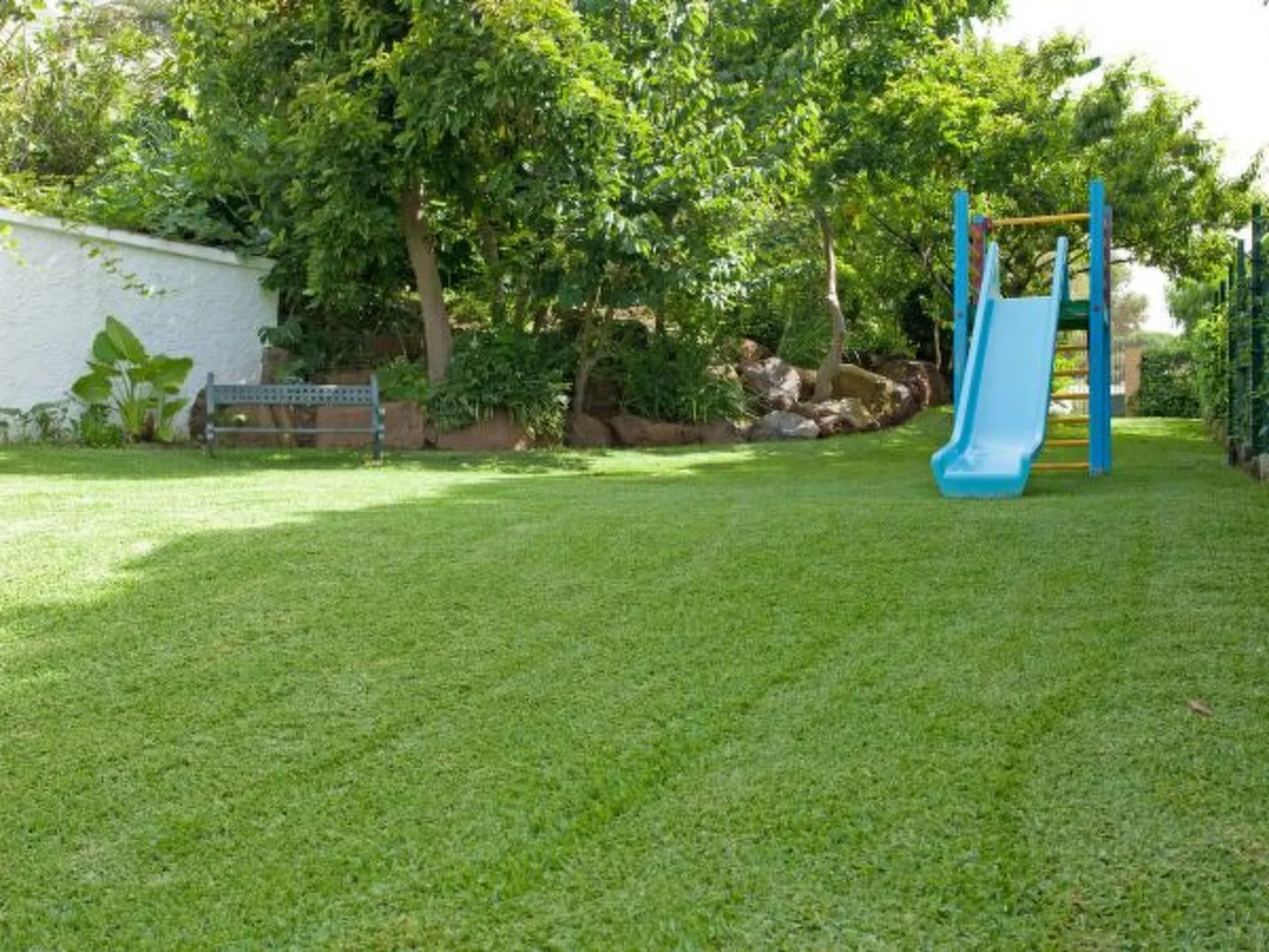 Coronado U 25 - Image-tags.info