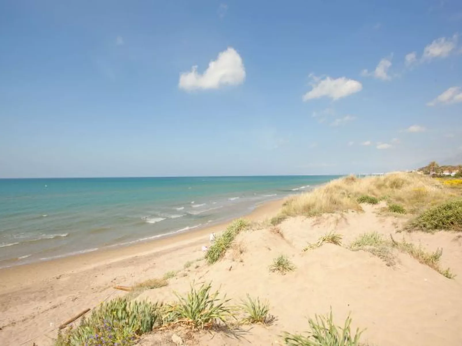 Romana Playa 555 - Image-tags.info