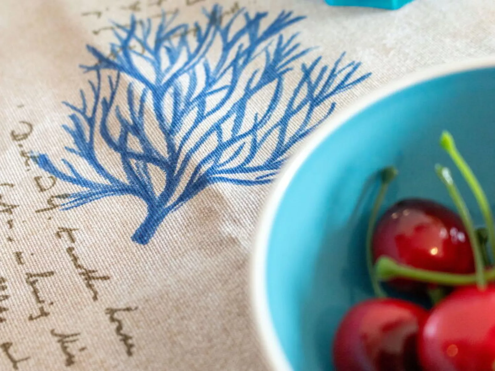 Conero Bluloft - Binnen