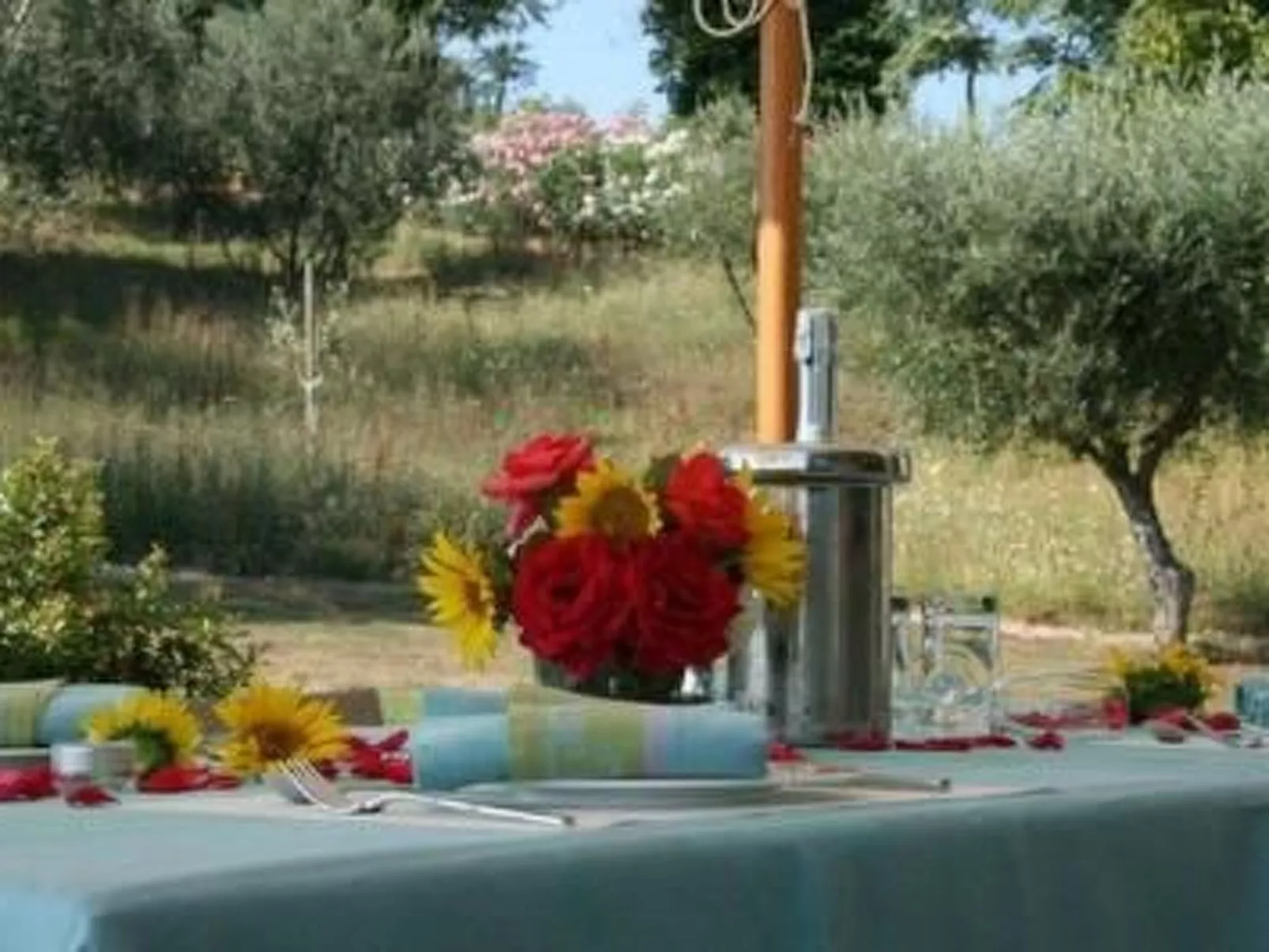 Casa Terra - Image-tags.info