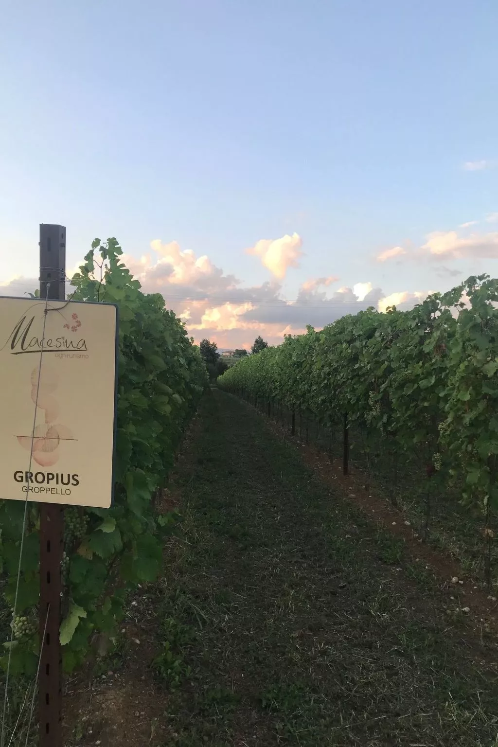 Ocra Familiensuite - Buiten