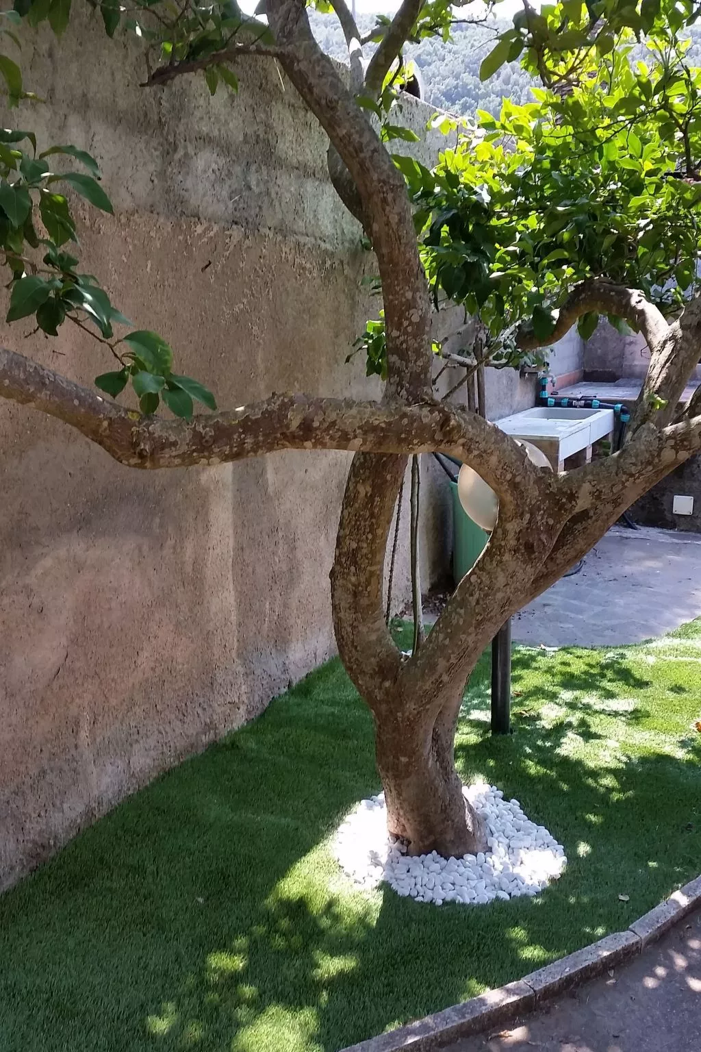 Wohnung Baia 1 - Casa Rossella - Image-tags.info