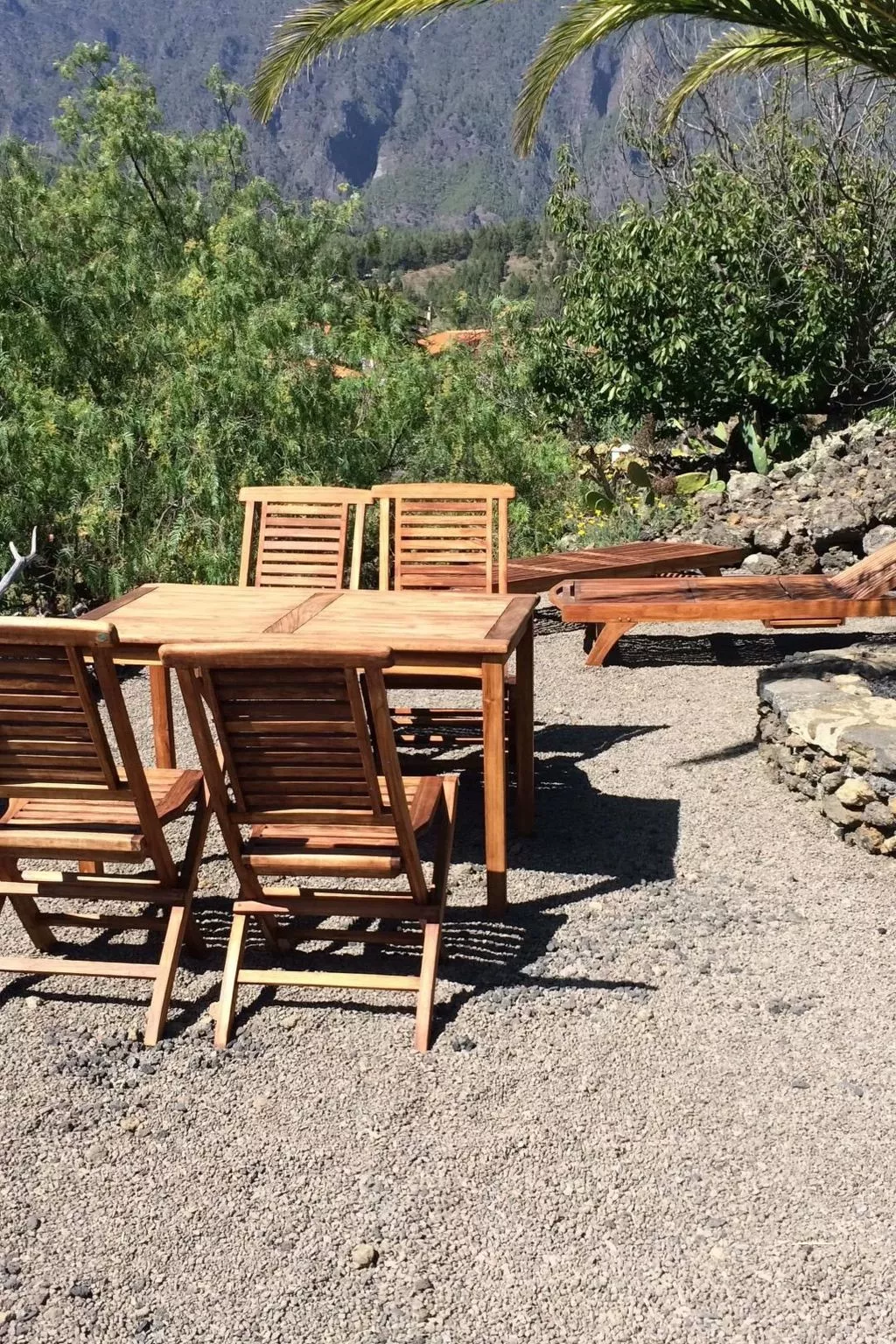 Las Tortugas - Image-tags.info