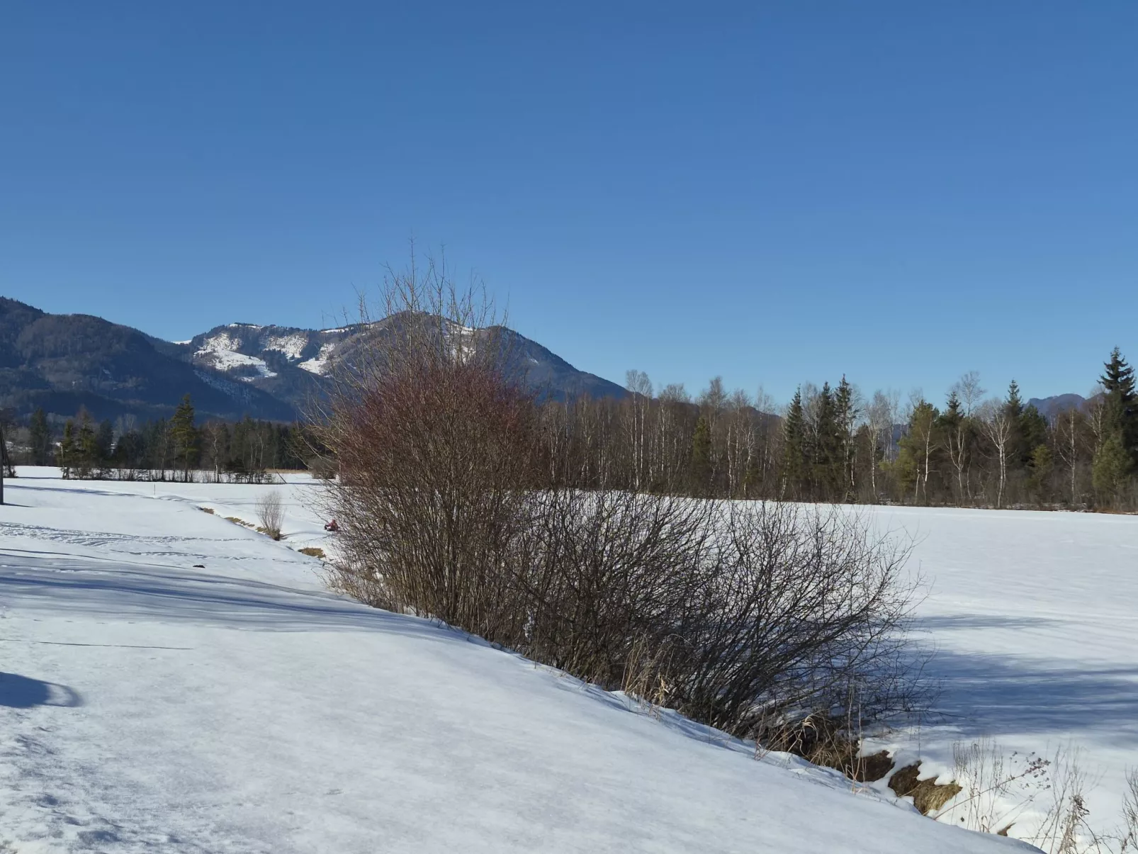 Wohnung 306 Berglick - Buiten