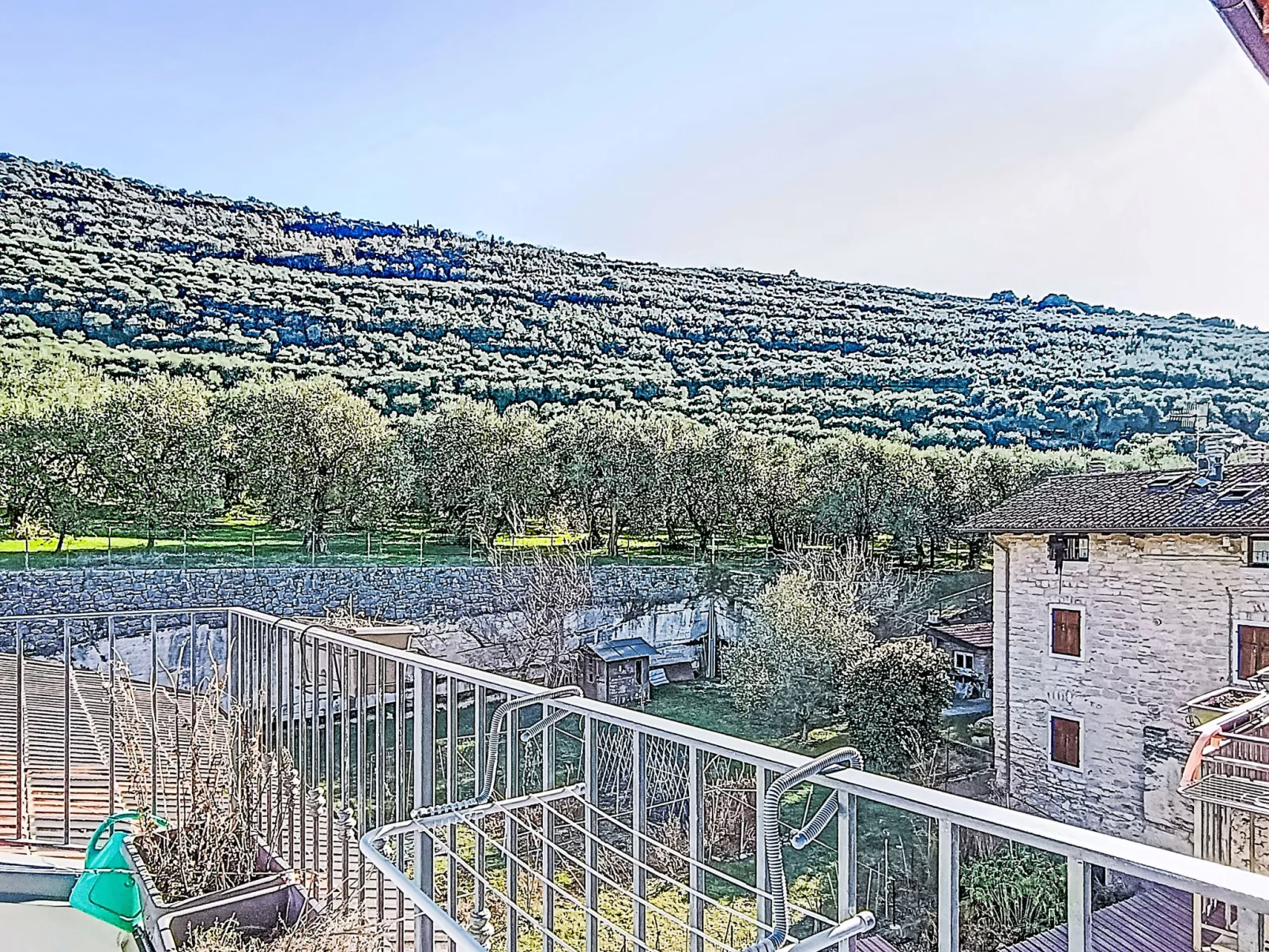 Tra gli Ulivi - Buiten