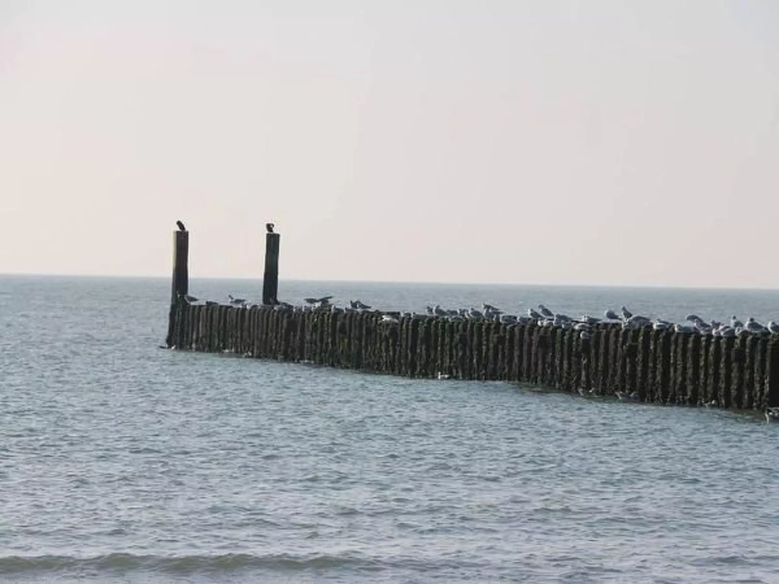 Luxuriöses Studio für 2 Personen de Zuus - Buiten