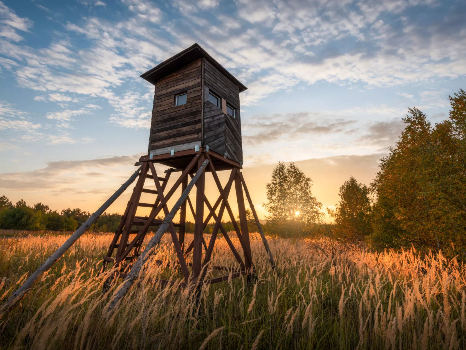 House Rea - Omgeving