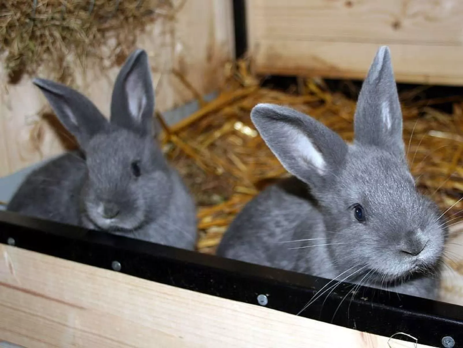 Am See Skagern - Image-tags.info