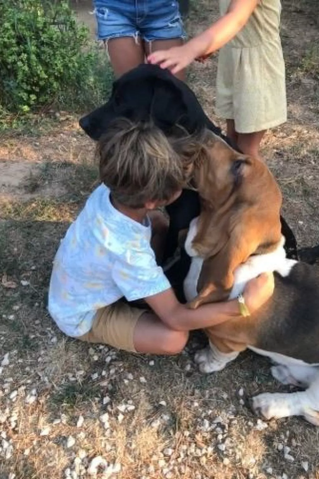 URLAUB AM MEER AUF DEM BAUERNHOF - Image-tags.info