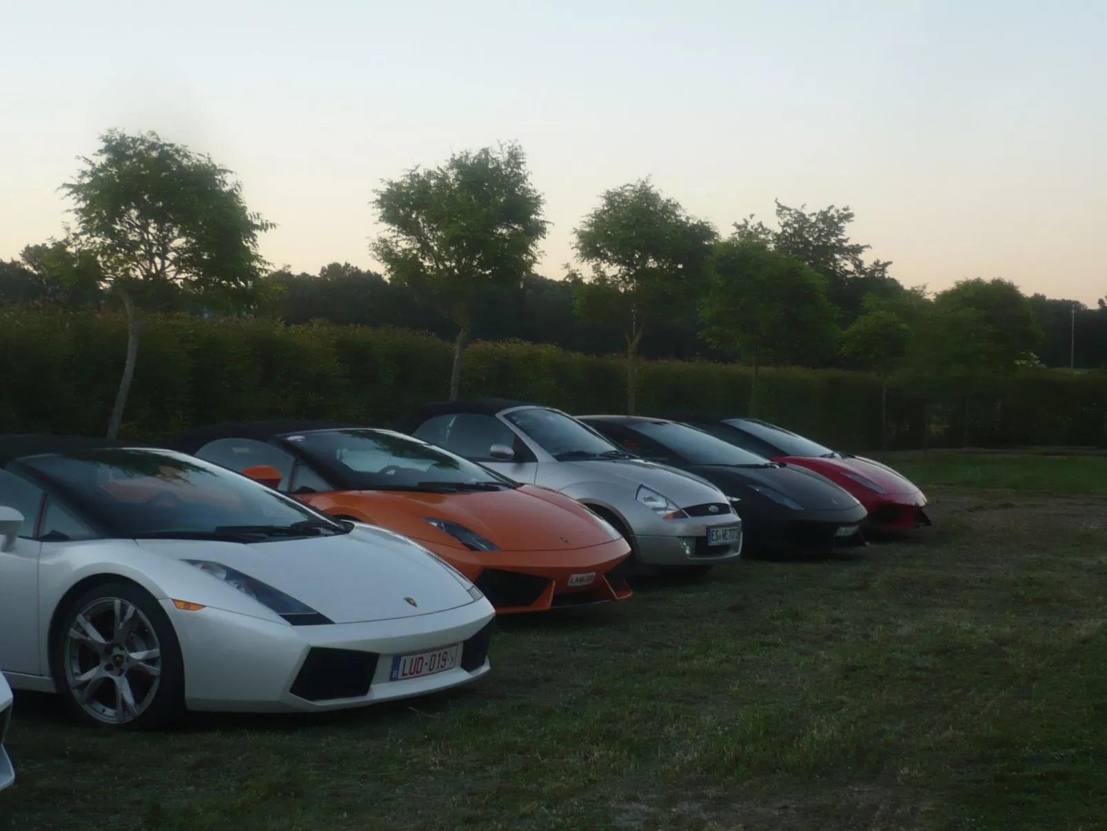 Fischione - Image-tags.info