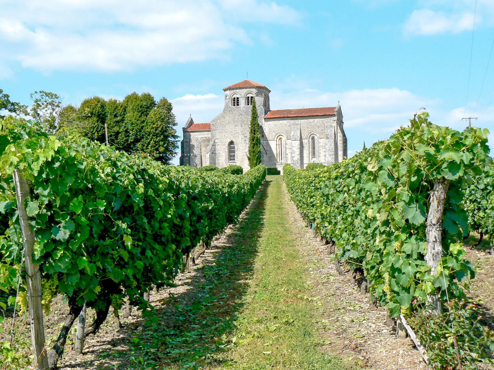 Les Coteaux de Jonzac - Buiten