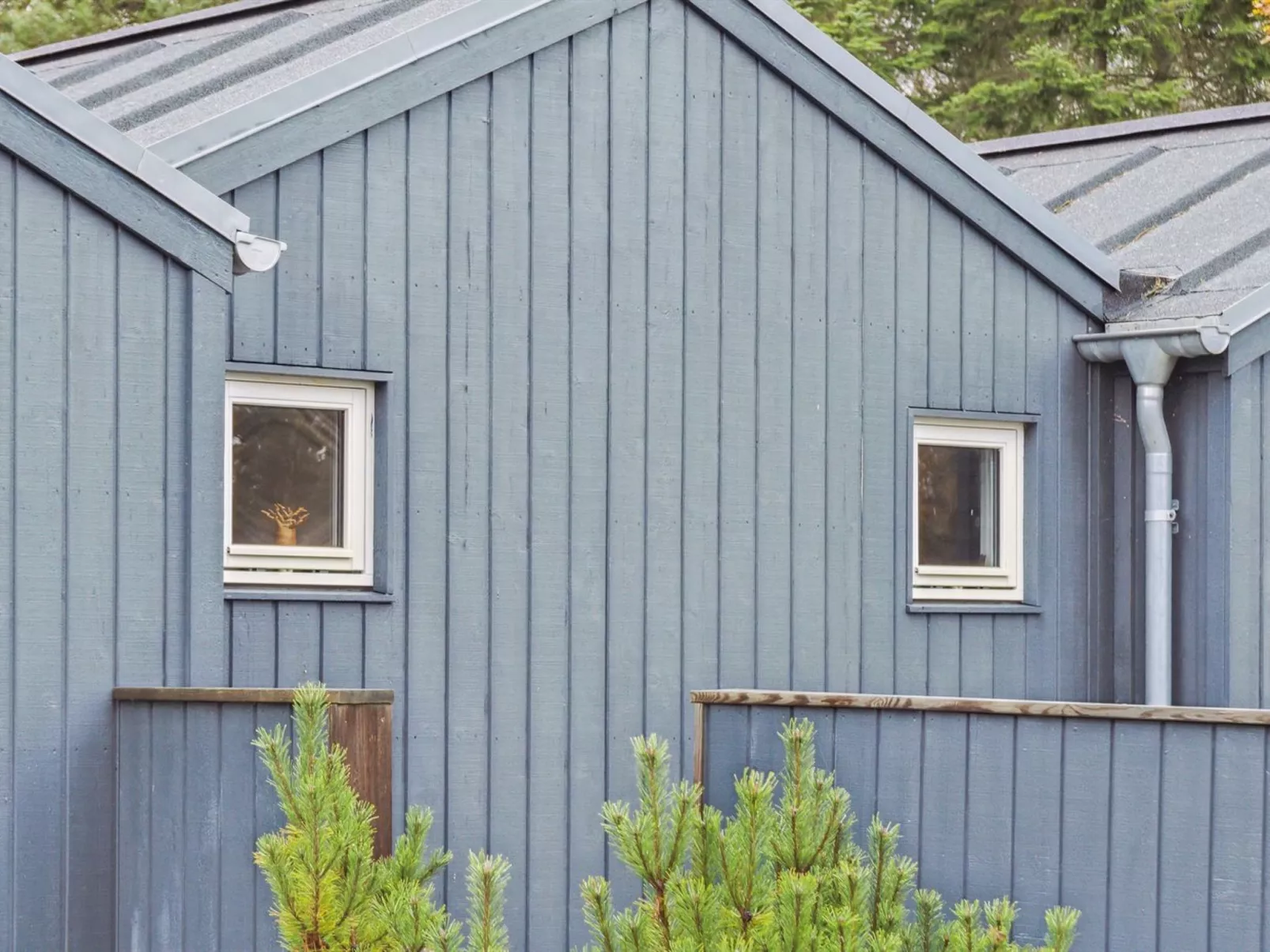 "Stillfrieda" - 150m from the sea - Buiten