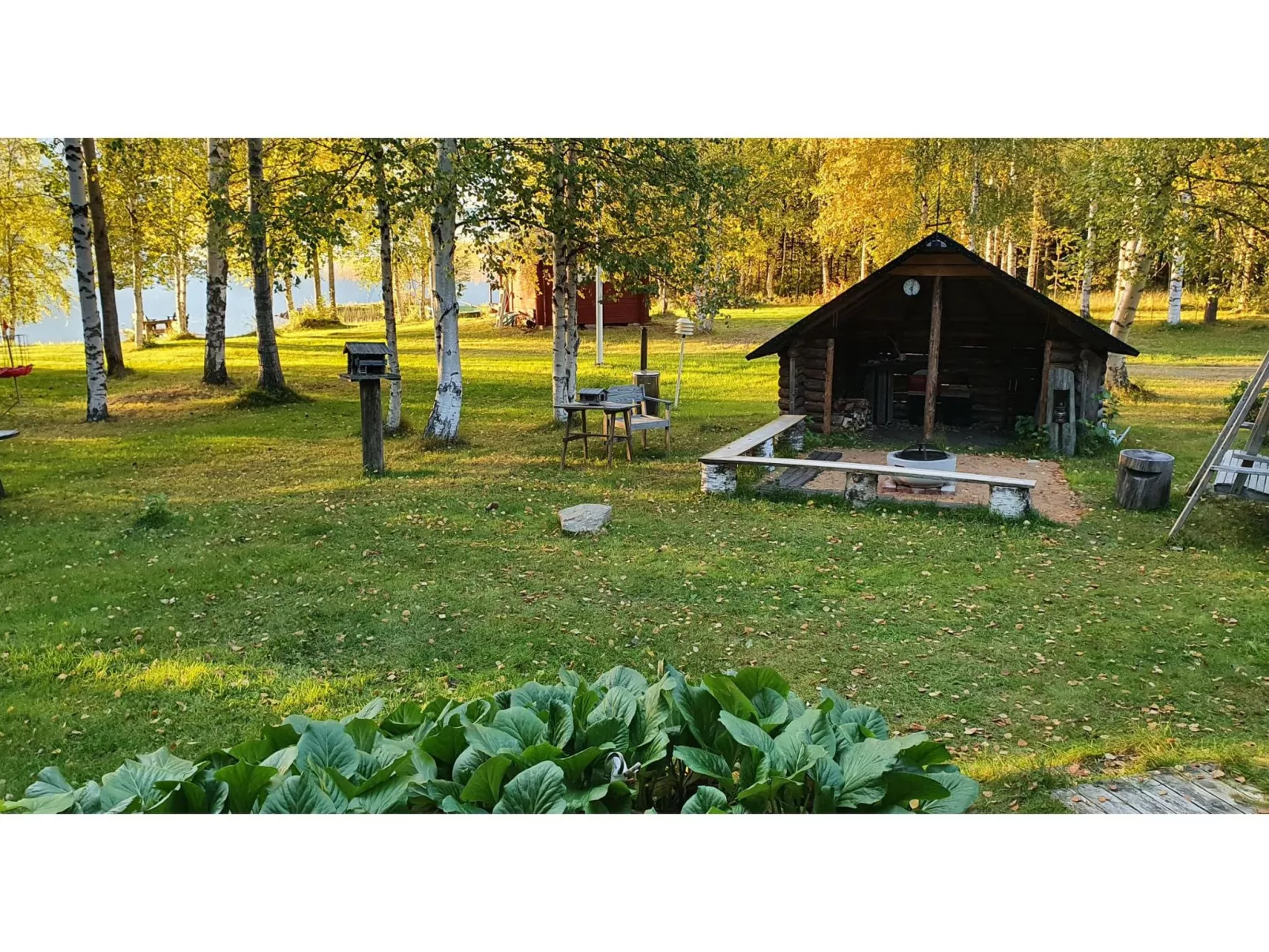 Koivulahden reinola - Binnen