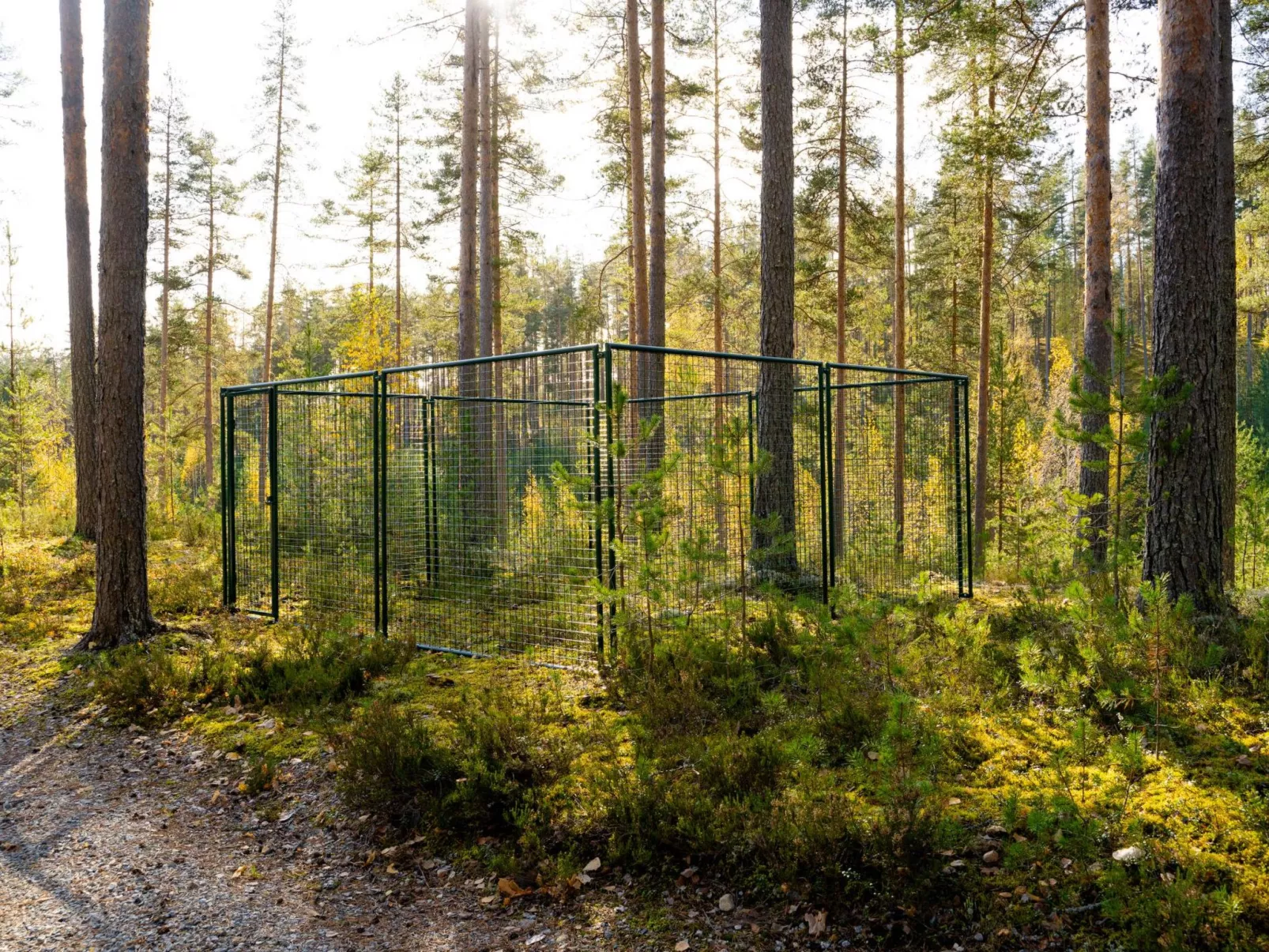 Villa tunturitervakko - Binnen