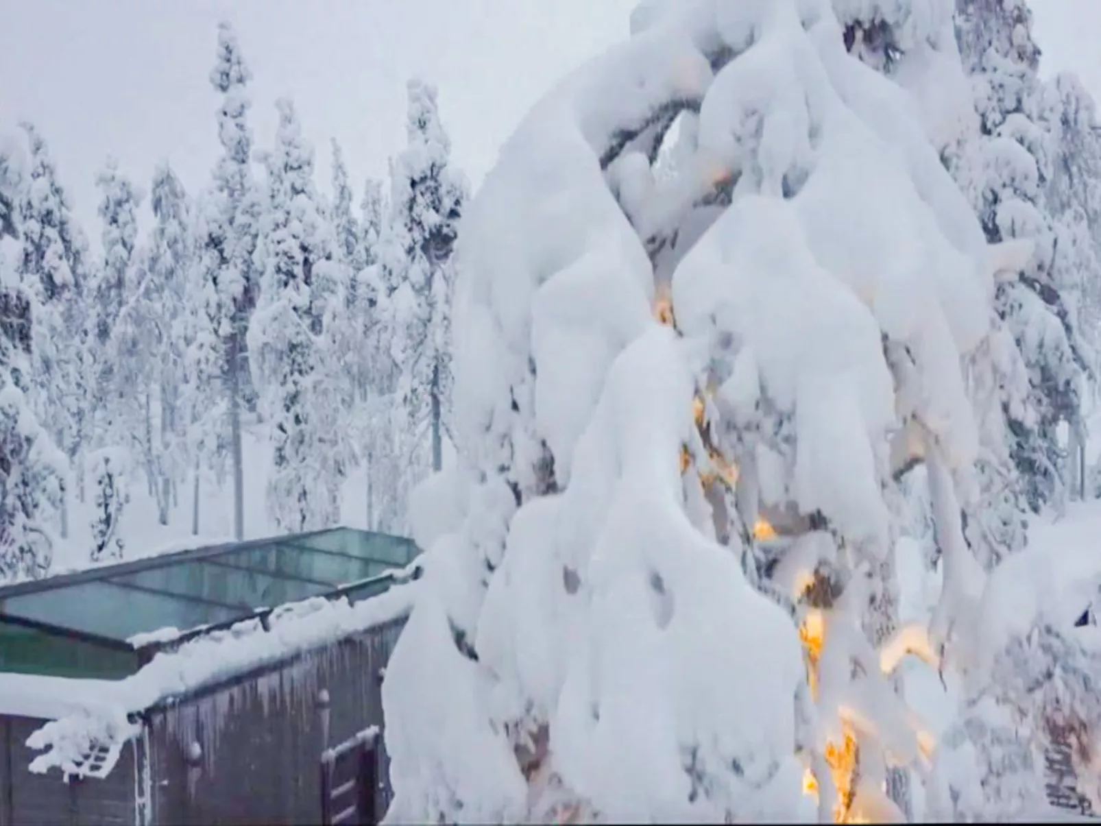 Levi secret igloo ruska 8d - Binnen